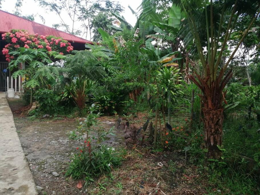 Agradable Granja Cerca A Un Rio De Agua Fresca. *